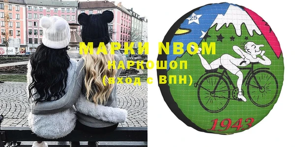 дмт Богданович