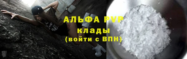 дмт Богданович