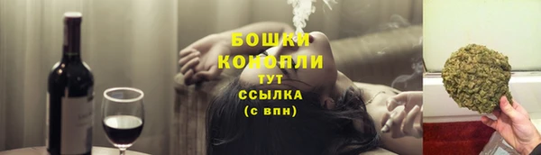 дмт Богданович
