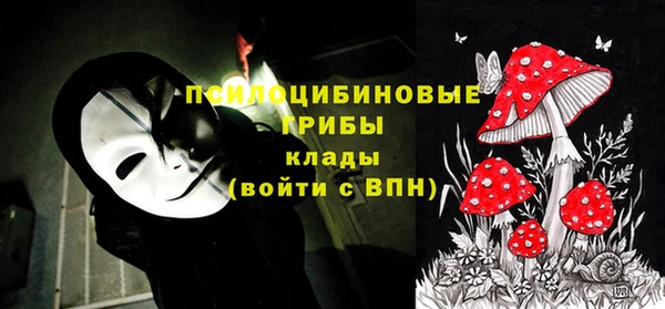 марки nbome Богородицк